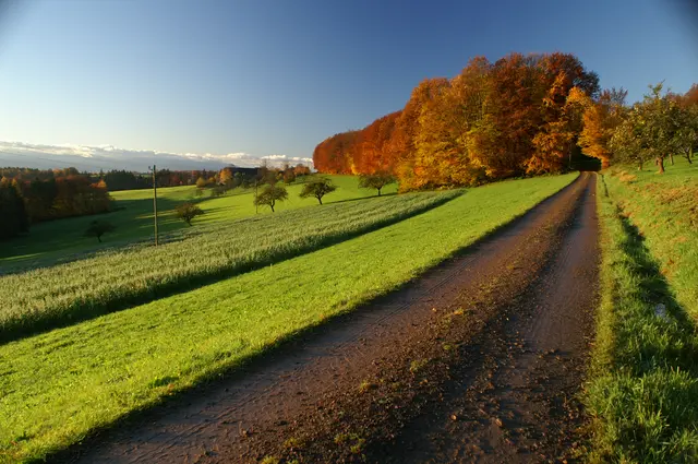 Herbst Stabhalterweg