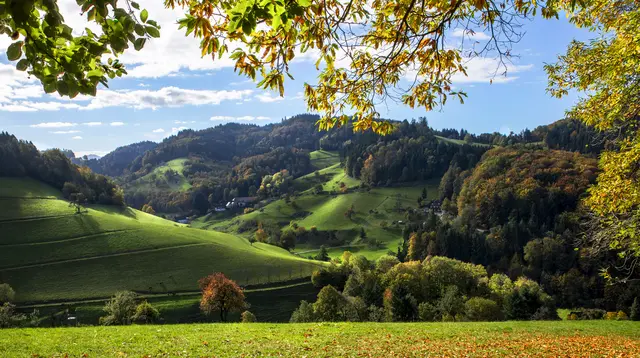 Herbst im Pechofen